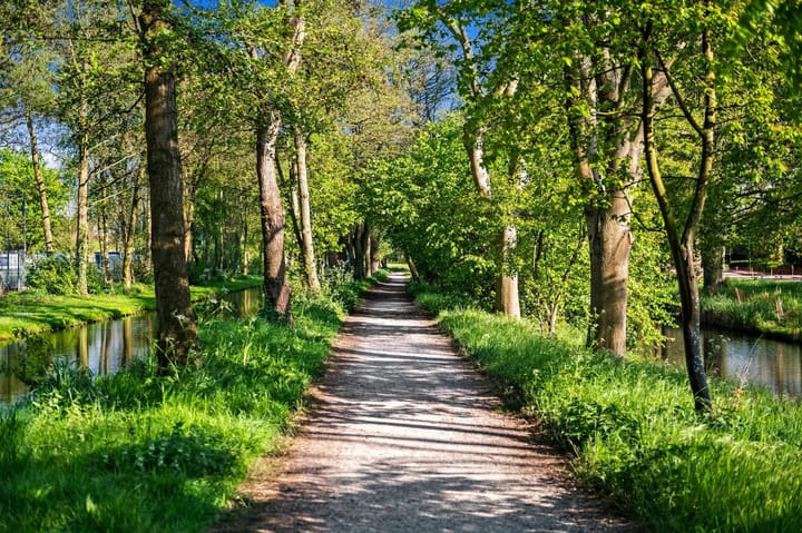 Photo 57 of Doornenburg 20