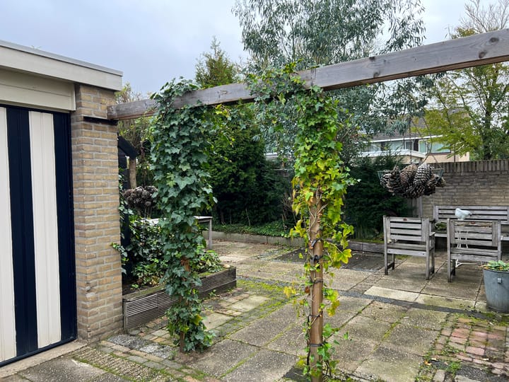 Foto 29 van Aalsburg 1604