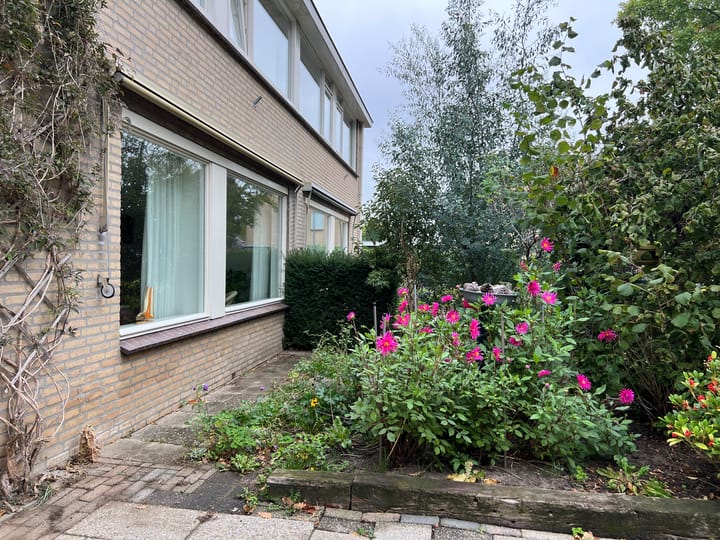 Foto 35 van Aalsburg 1604