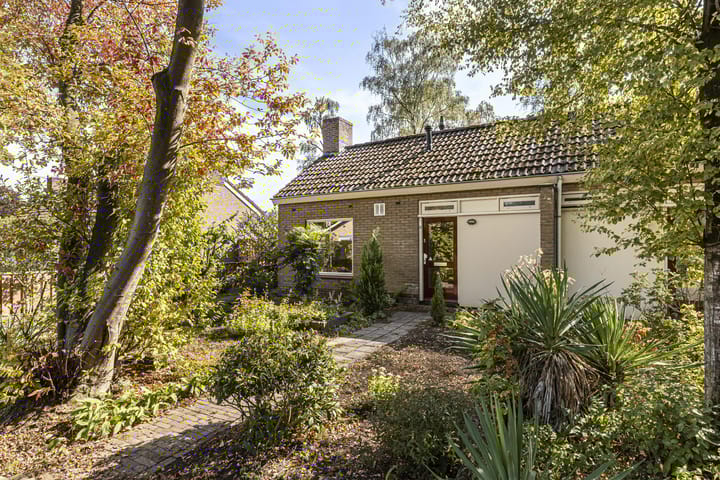 Foto 3 van Schukkingpad 3