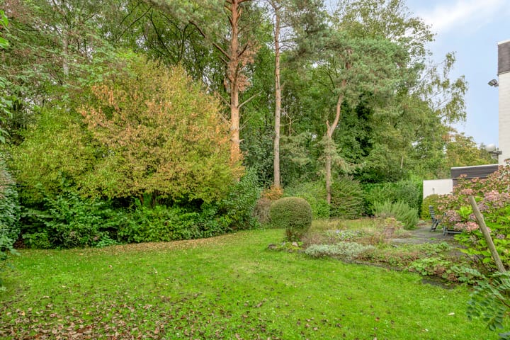 Photo 43 of Marinus de Jongstraat 18