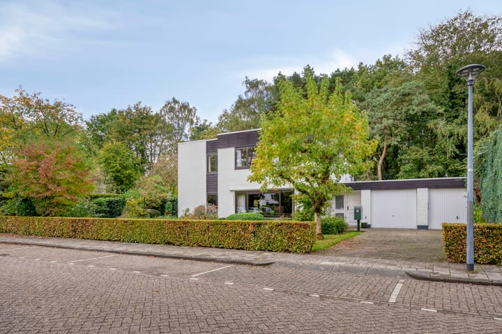 Photo 45 of Marinus de Jongstraat 18