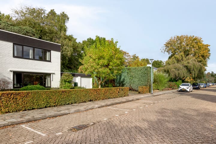 Photo 46 of Marinus de Jongstraat 18