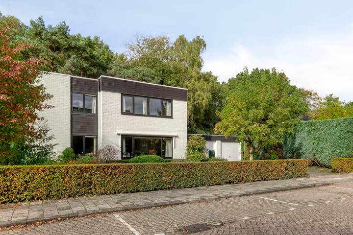 Photo 47 of Marinus de Jongstraat 18