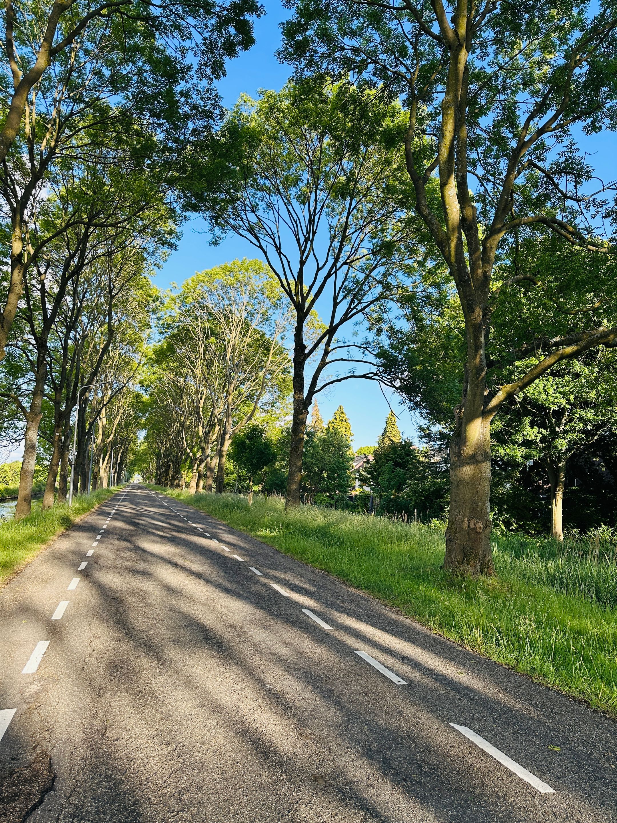 Foto 33 van Helene Swarthlaan 25