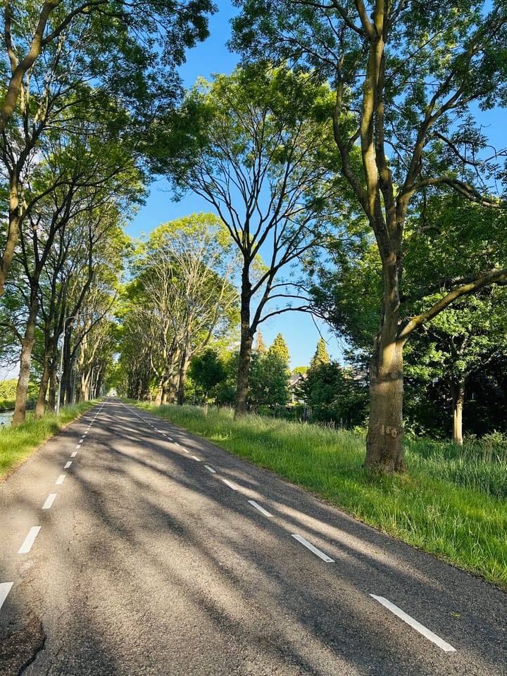 Photo 33 of Helene Swarthlaan 25