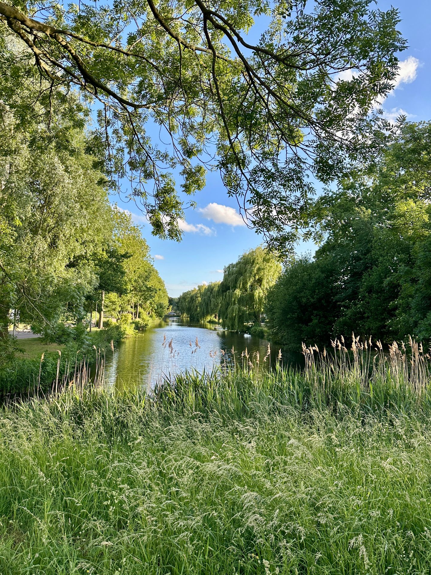 Foto 34 van Helene Swarthlaan 25