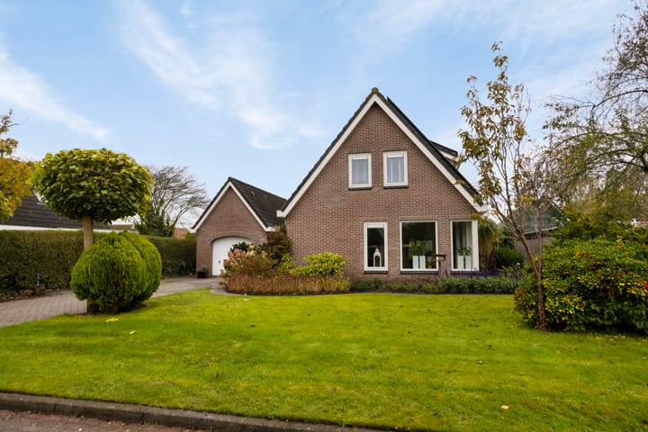 Foto 3 van Vogelrijd 4