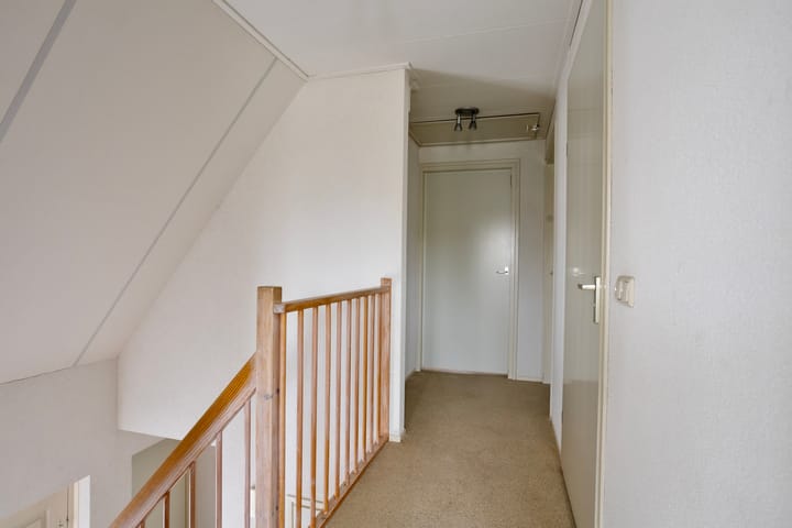 Foto 16 van Vogelrijd 4