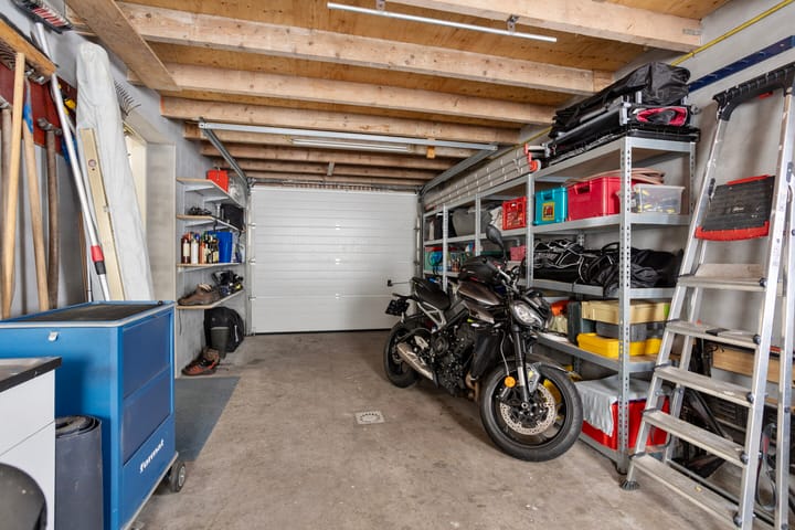 Foto 14 van Vogelrijd 4