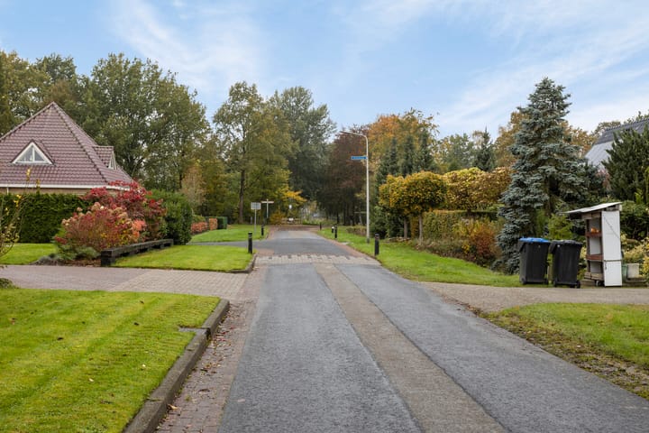 Foto 36 van Vogelrijd 4