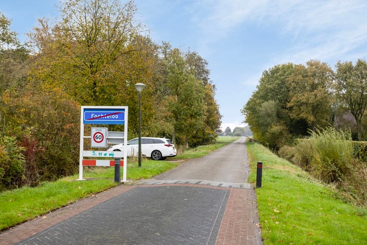 Foto 37 van Vogelrijd 4