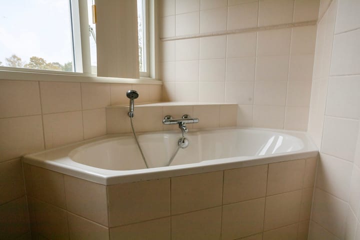 Foto 21 van Vogelrijd 4