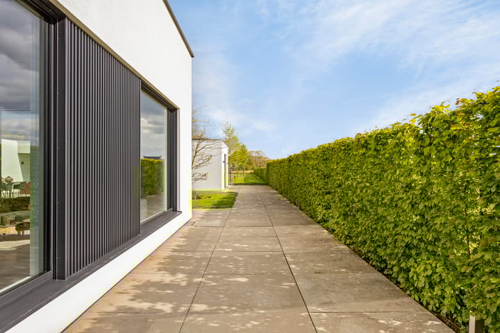 Foto 64 van Roskam 21