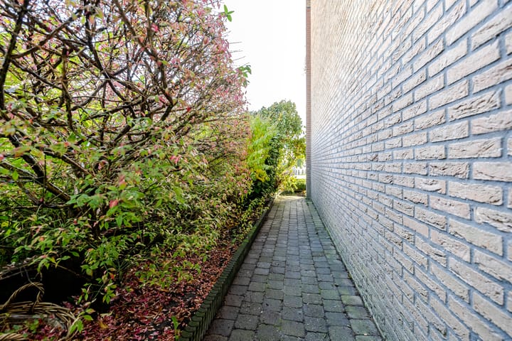 Foto 25 van Rozemarijntuin 27