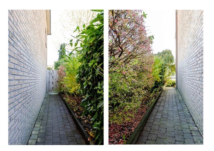 Foto 26 van Rozemarijntuin 27