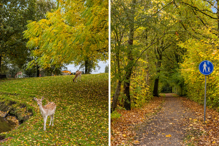 Foto 31 van Bartemerwei 24