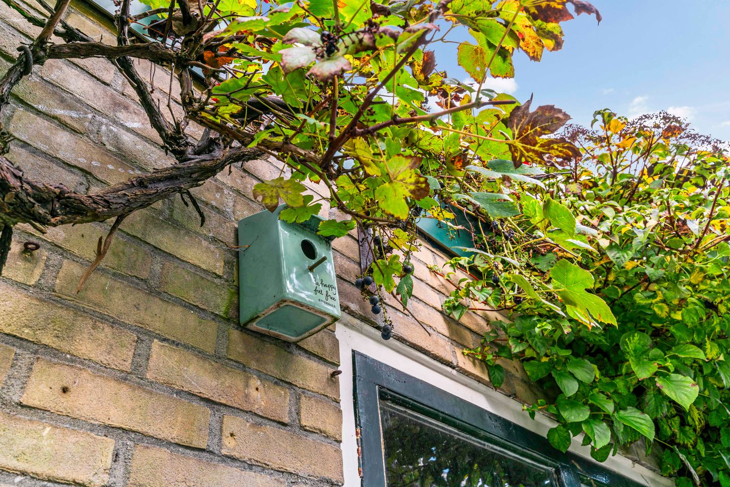 Foto 19 van Lodewijk van Deyssellaan 65