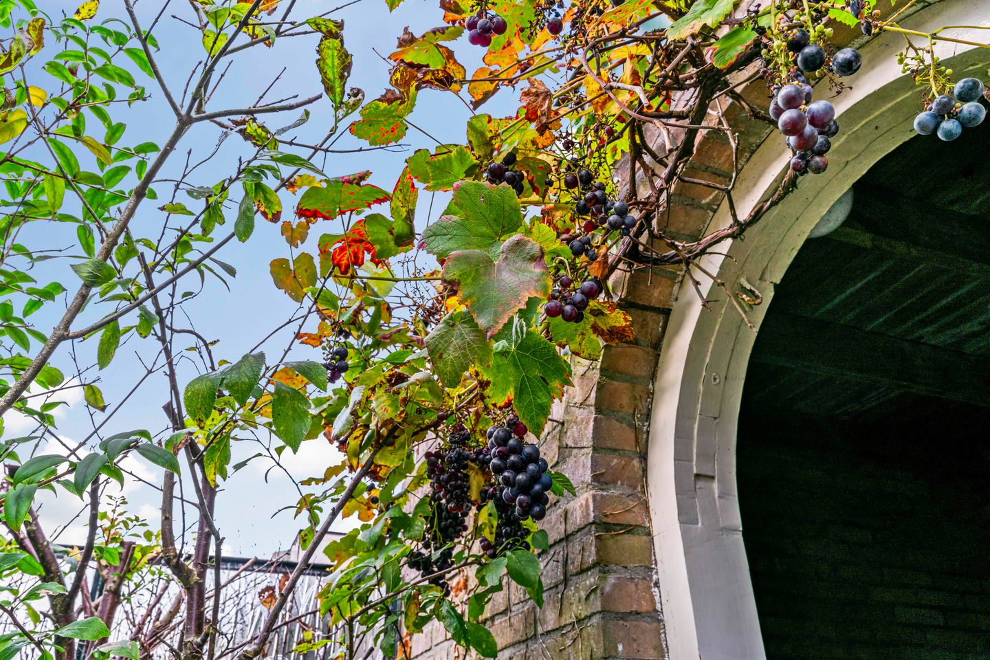 Foto 20 van Lodewijk van Deyssellaan 65