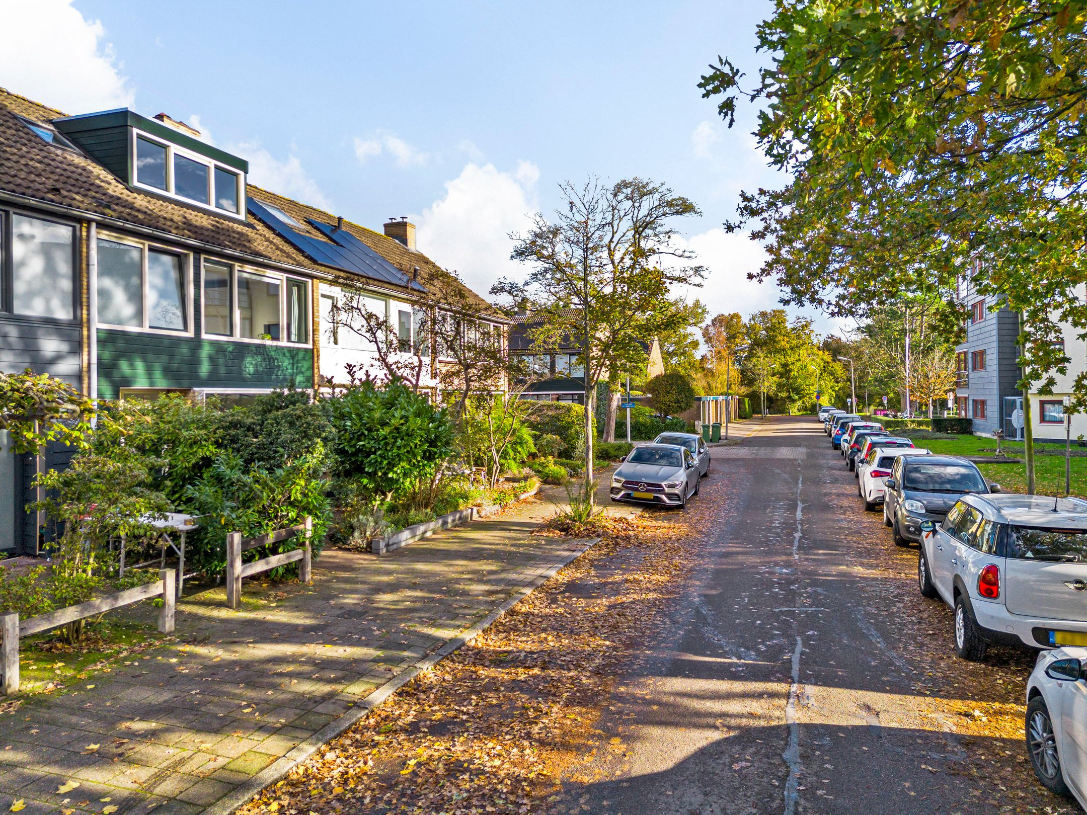 Foto 33 van Lodewijk van Deyssellaan 65