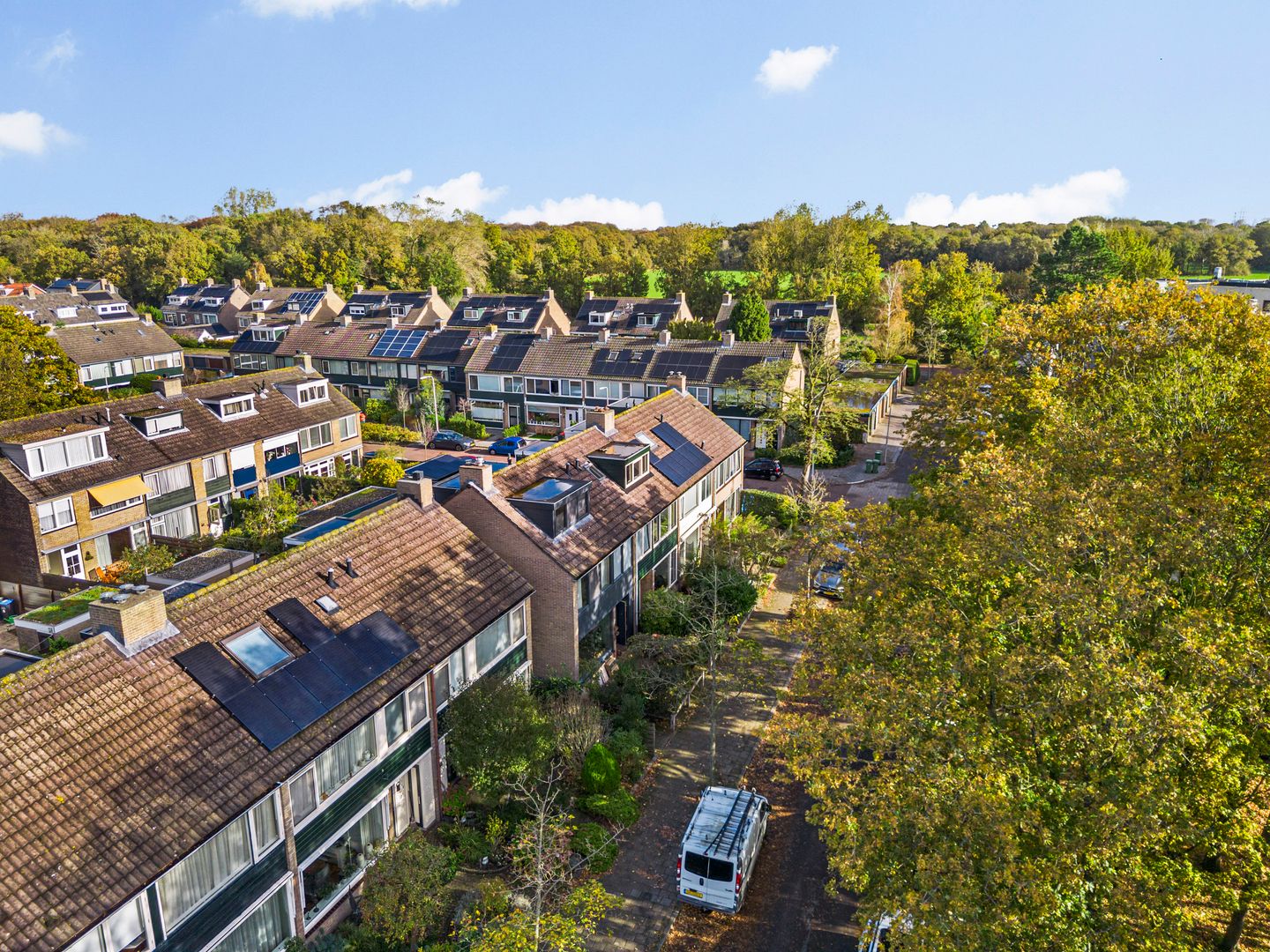 Foto 34 van Lodewijk van Deyssellaan 65