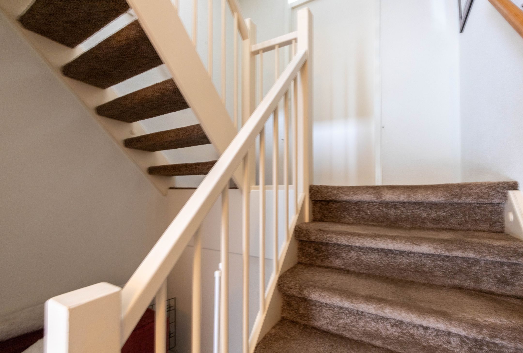 Foto 6 van Zomerpark 22