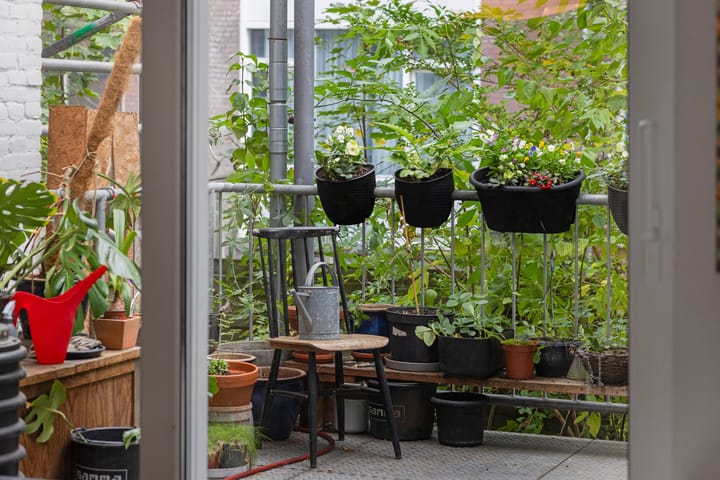 Foto 12 van Jan Sonjéstraat 18