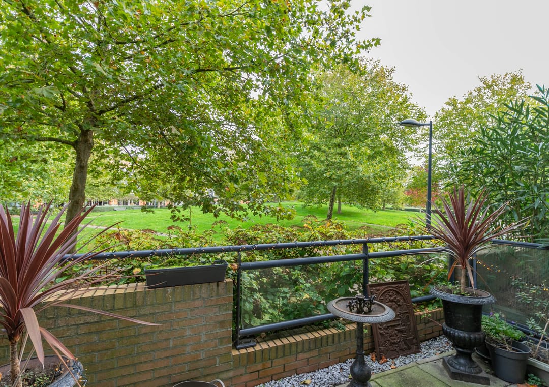 Foto 13 van Zomerpark 22