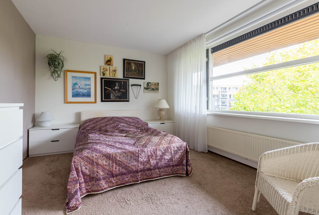 Foto 26 van Zomerpark 22