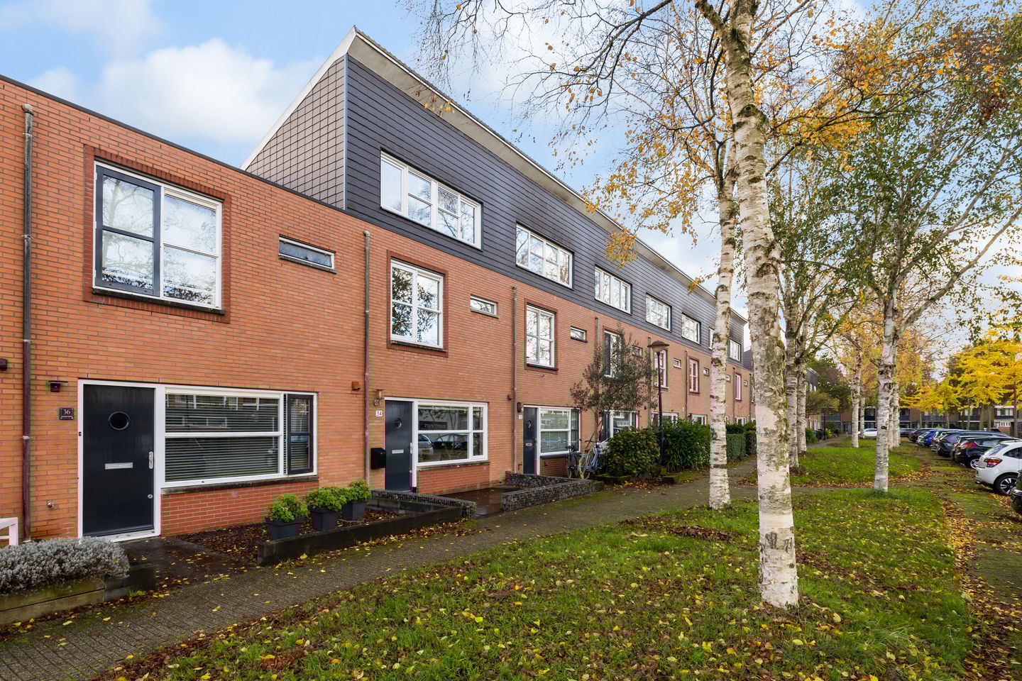 Foto 1 van Dalkruid 34