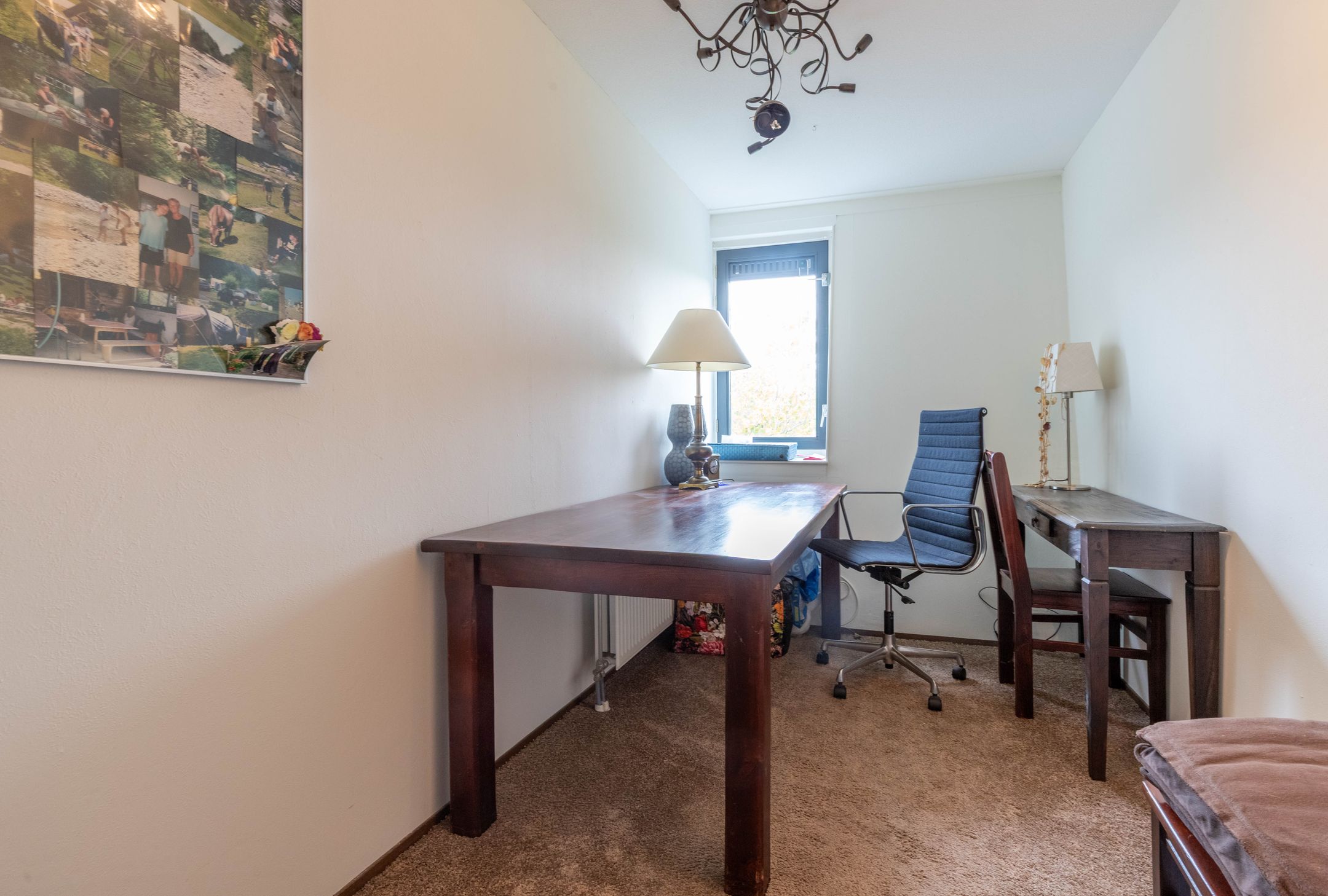 Foto 33 van Zomerpark 22