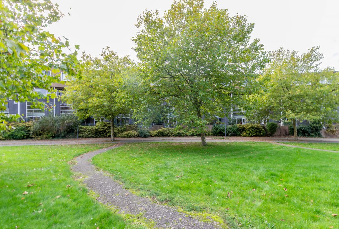 Foto 38 van Zomerpark 22