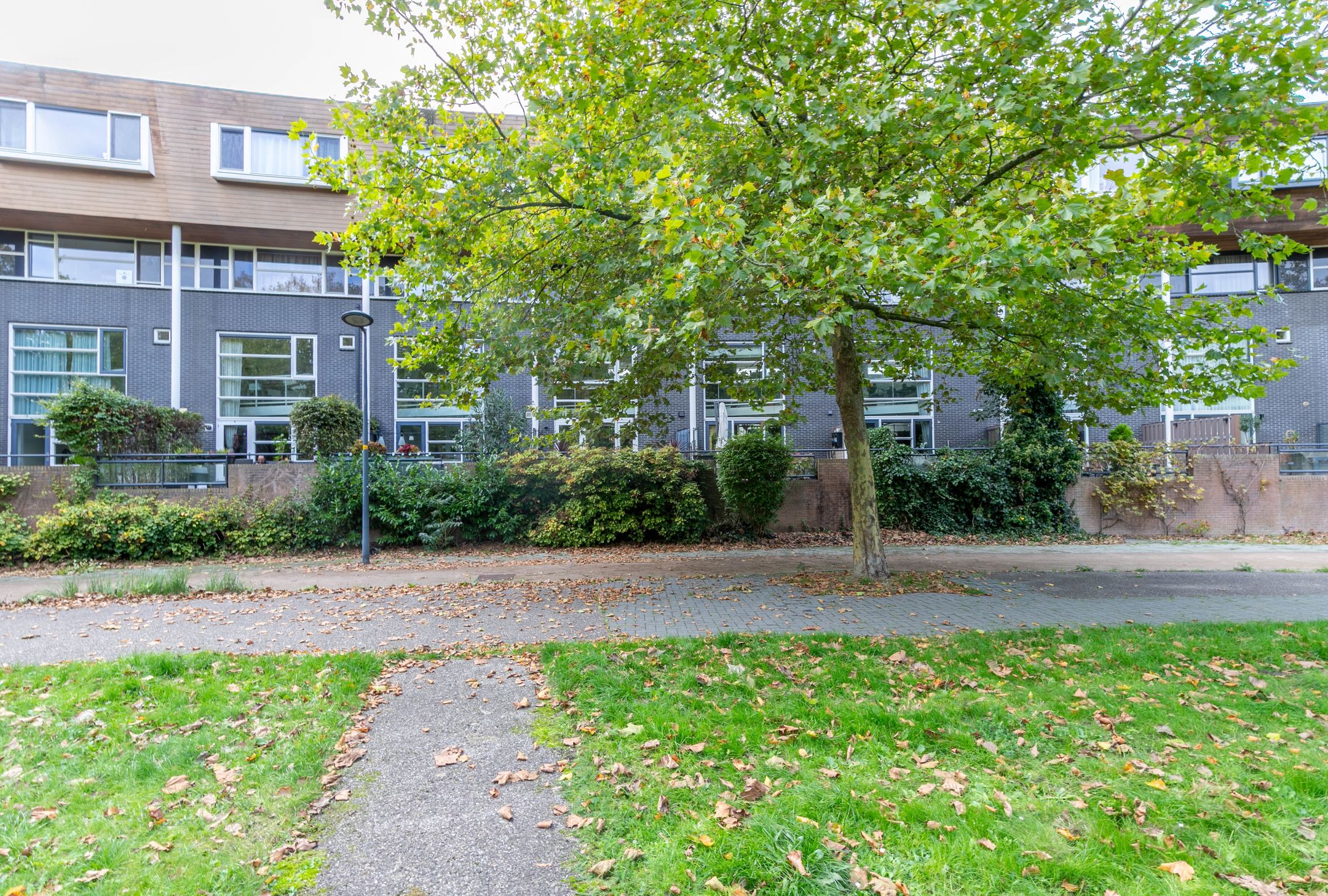 Foto 39 van Zomerpark 22