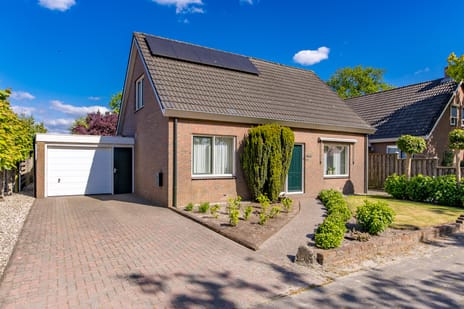 undefined main image