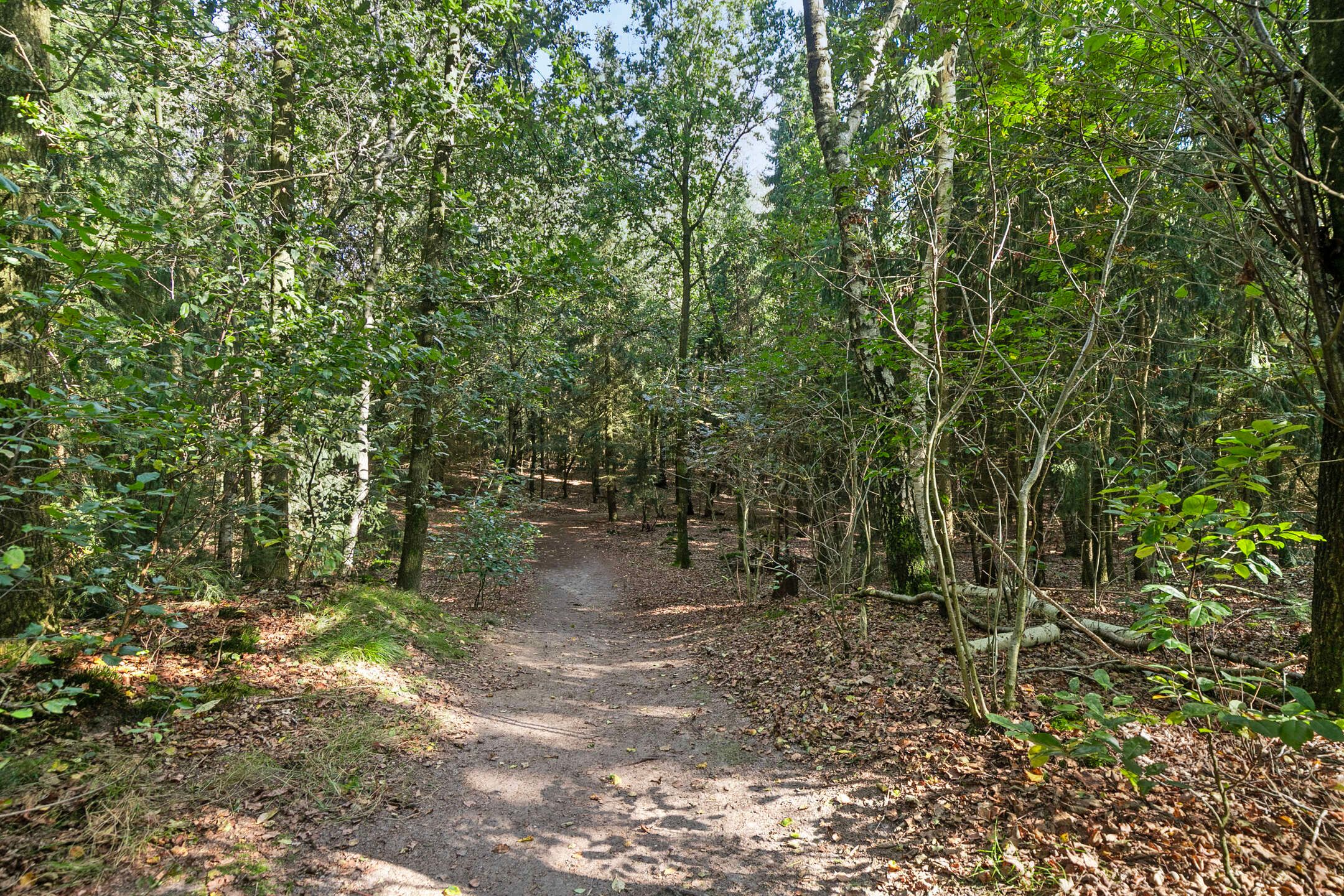 Photo 33 of Roegte 17