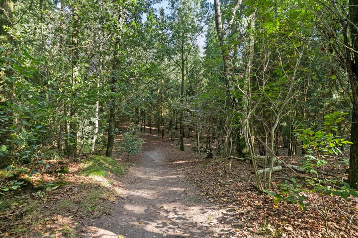 Foto 33 van Roegte 17