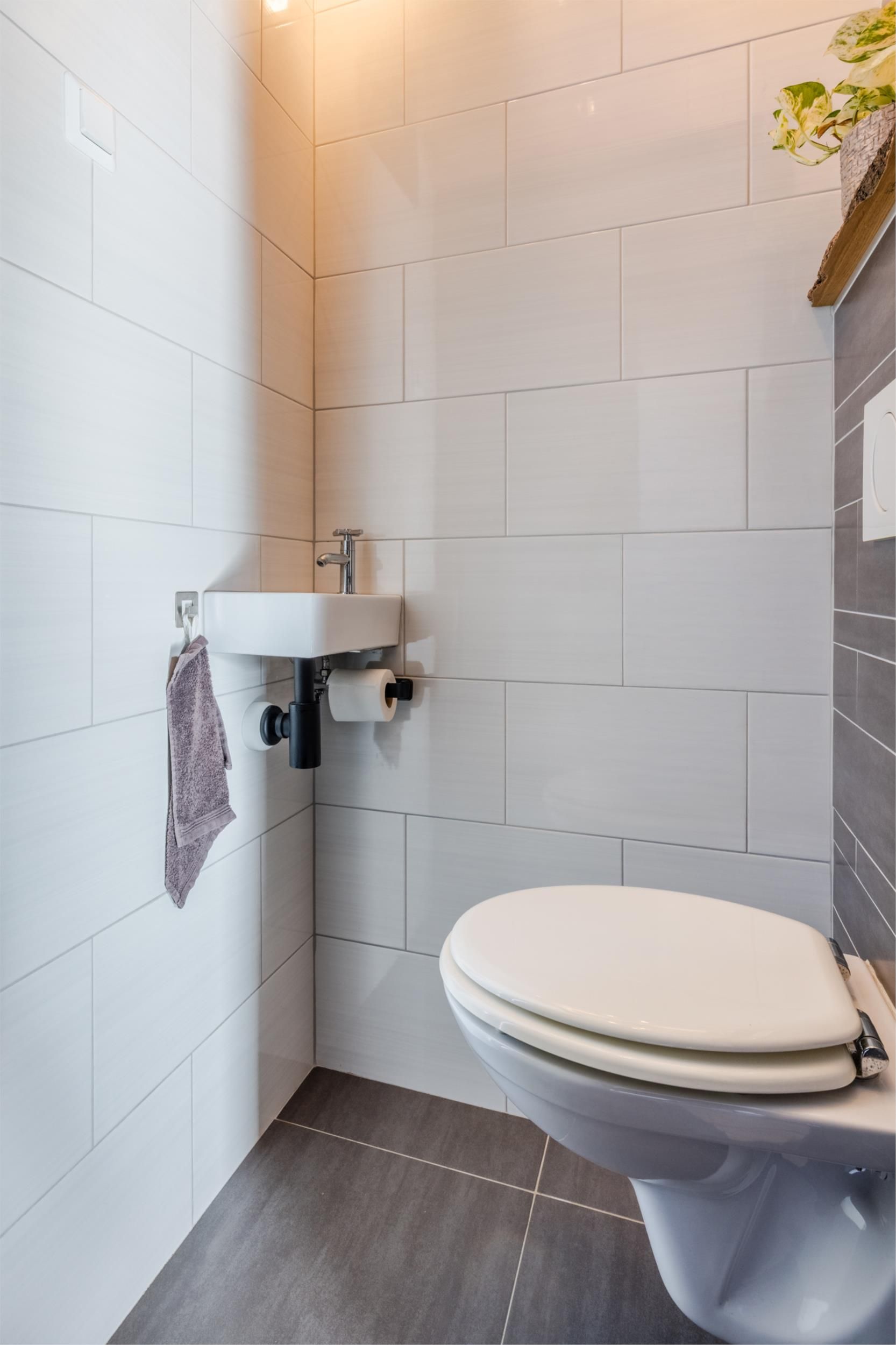 Foto 12 van Hoflaan 125