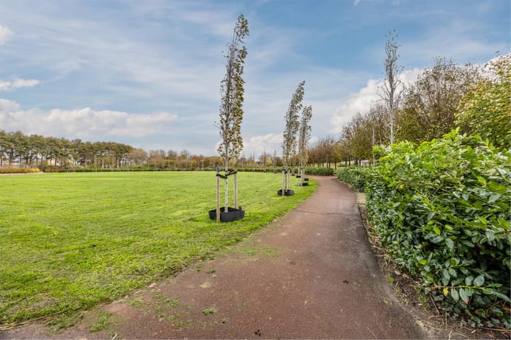 Foto 37 van Hoflaan 125