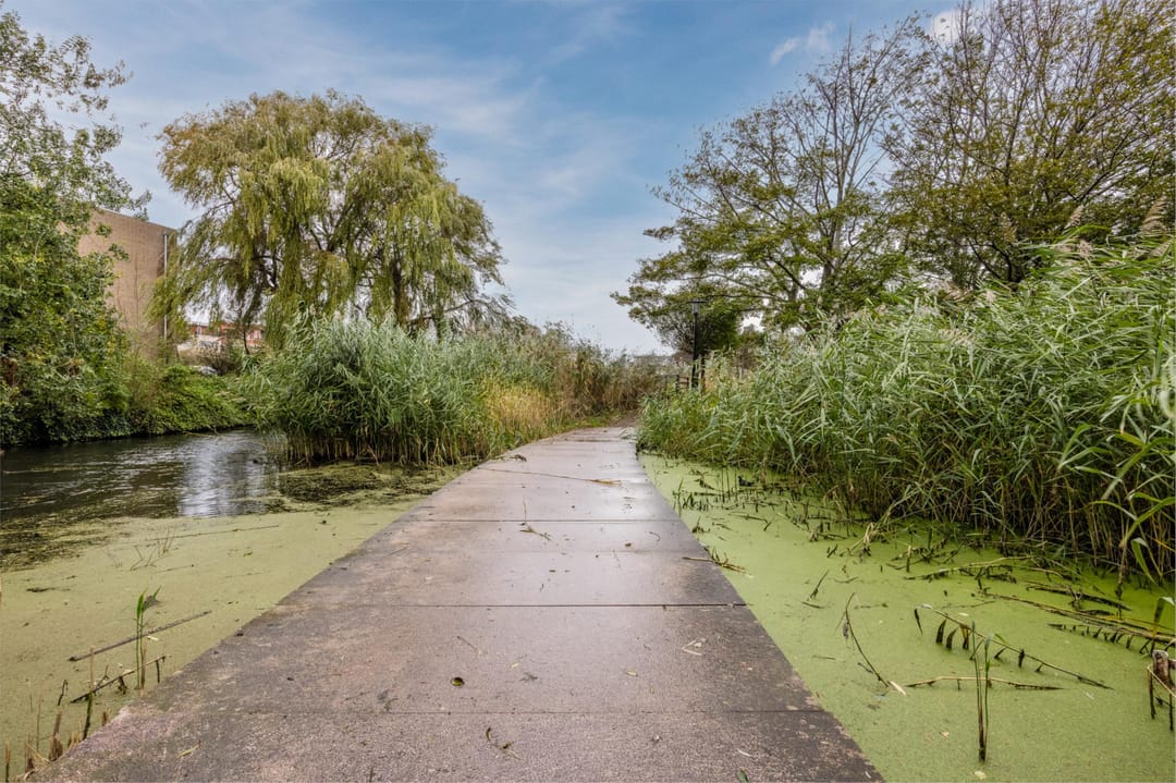 Foto 38 van Hoflaan 125