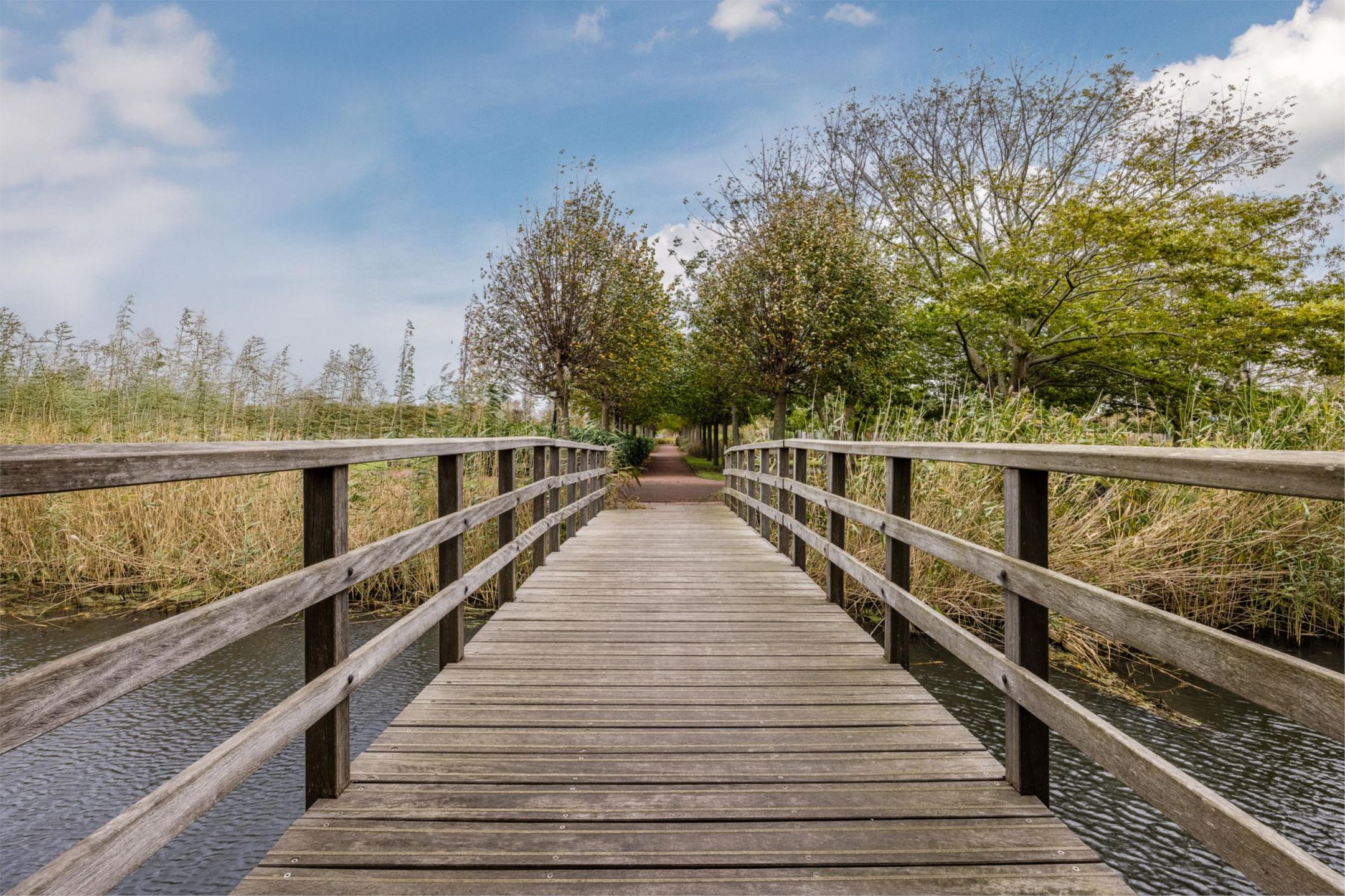 Foto 39 van Hoflaan 125