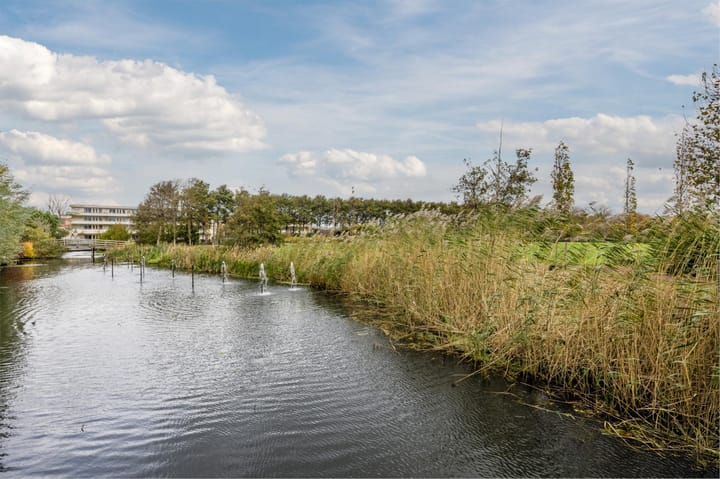 Foto 40 van Hoflaan 125