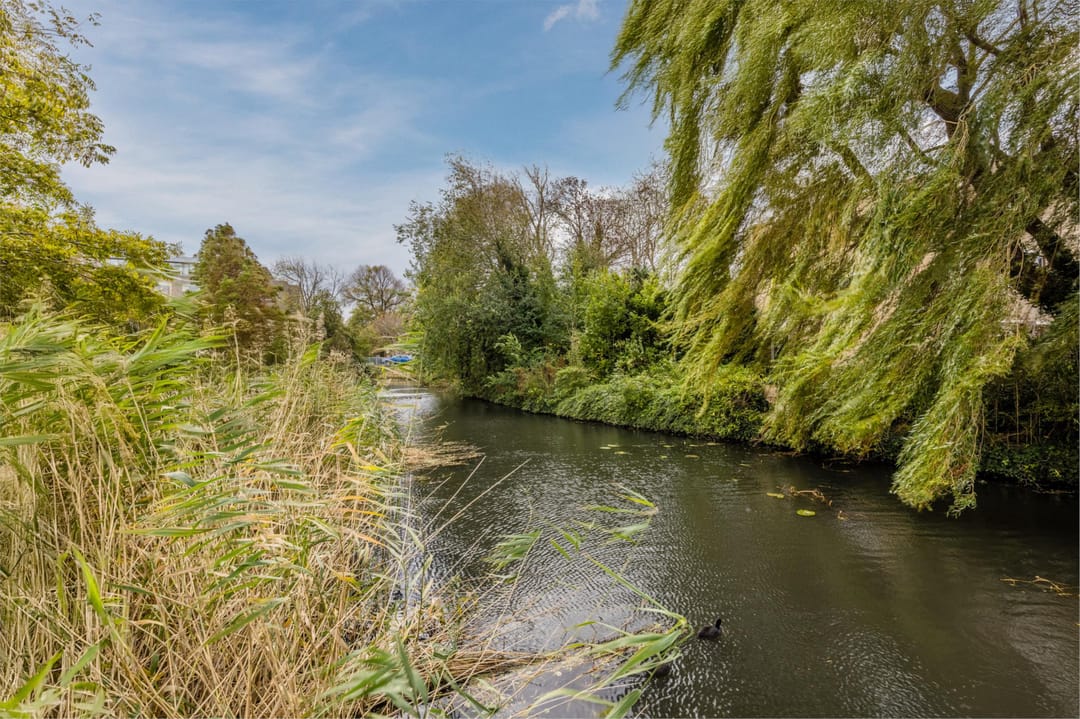 Foto 41 van Hoflaan 125