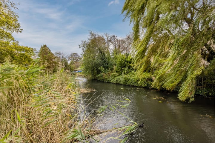 Foto 41 van Hoflaan 125