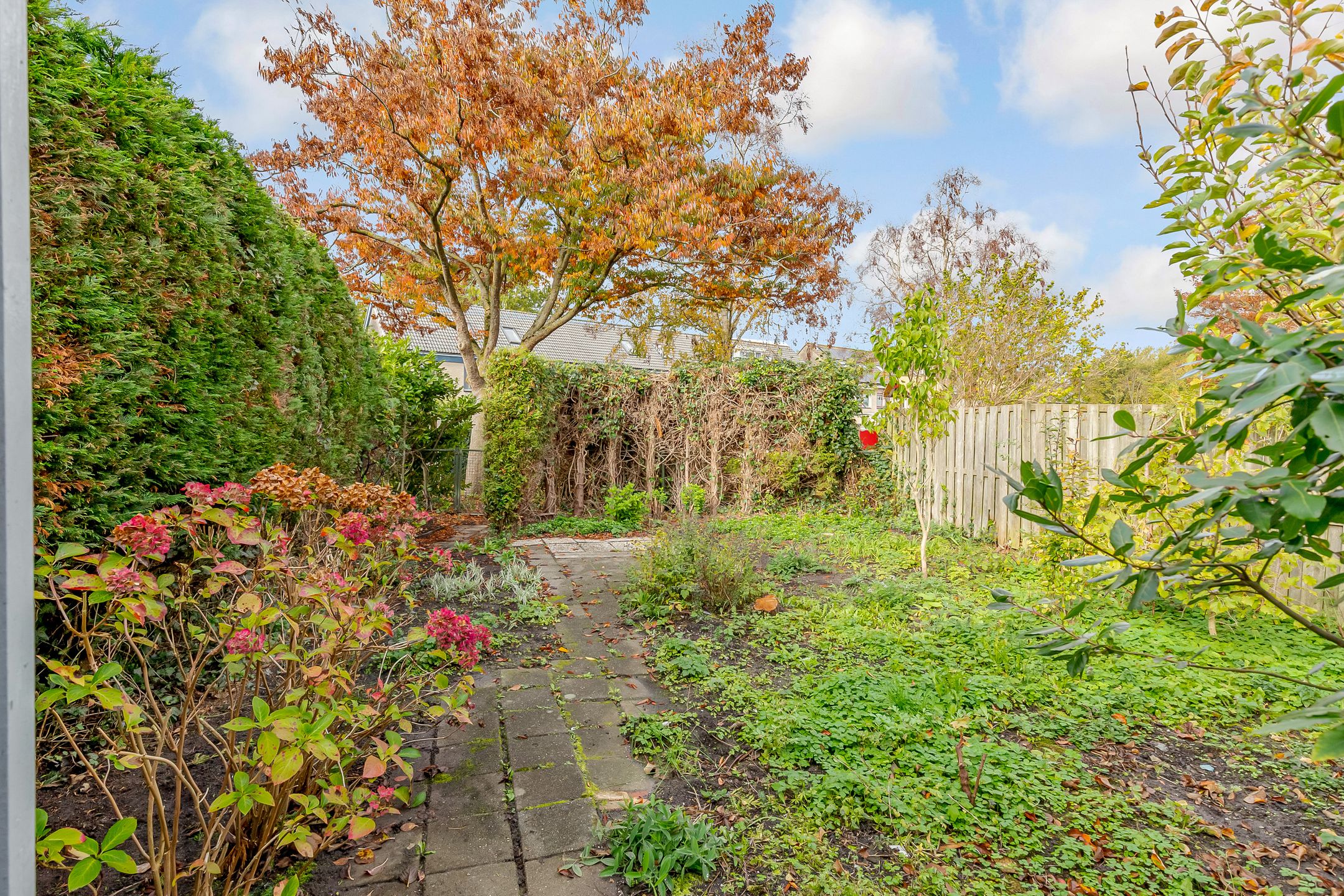 Foto 3 van Cellostraat 10