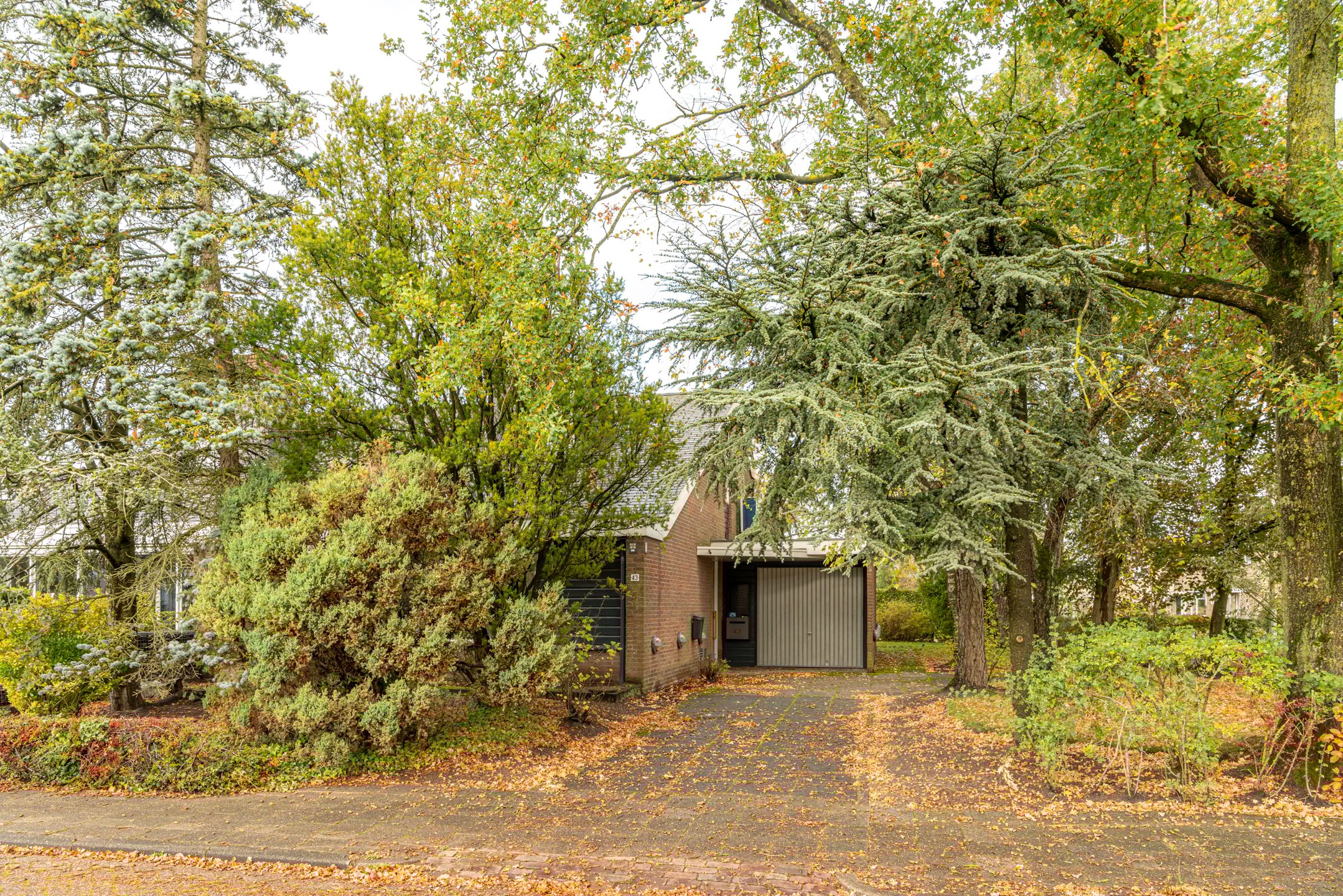 Foto 6 van De Overspitting 43