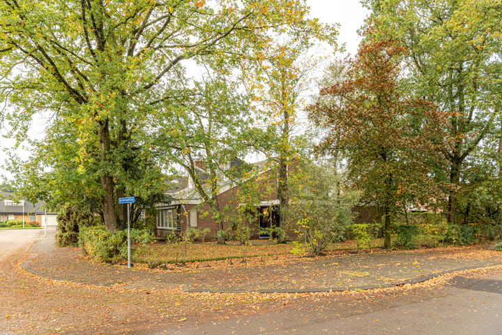 Foto 7 van De Overspitting 43