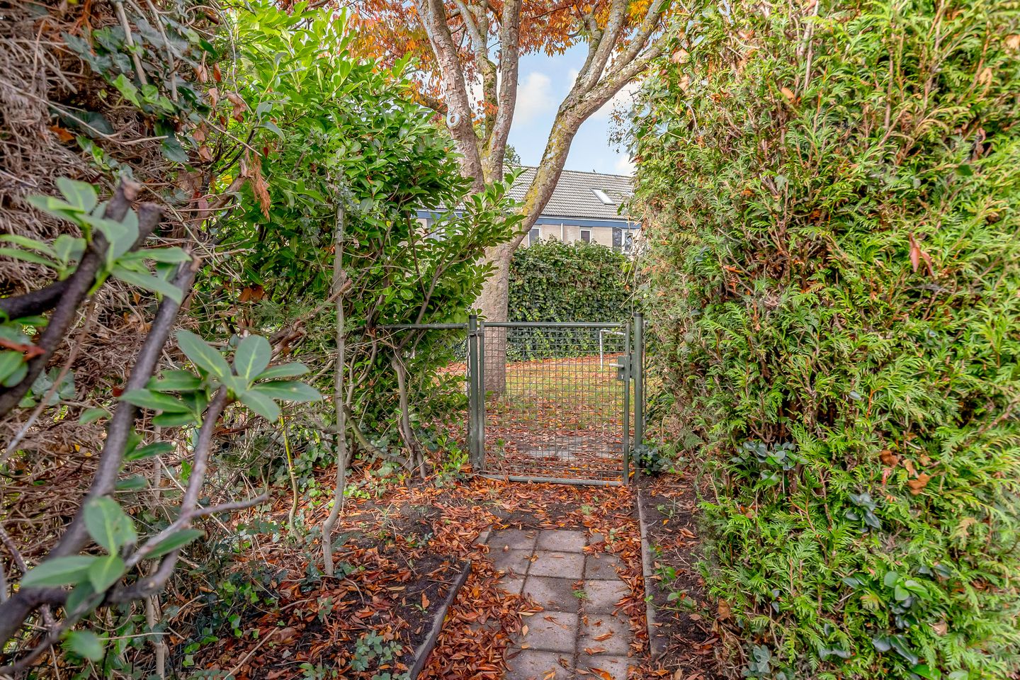 Foto 40 van Cellostraat 10