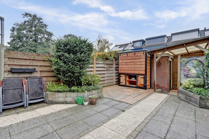 Foto 5 van Meerkoet 5