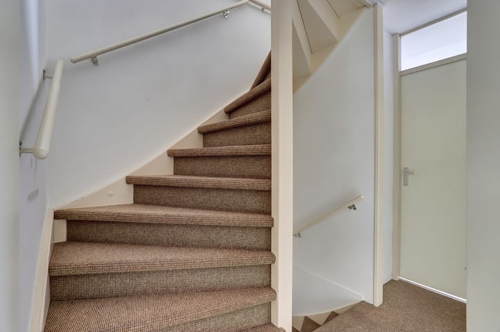 Foto 12 van Meerkoet 5