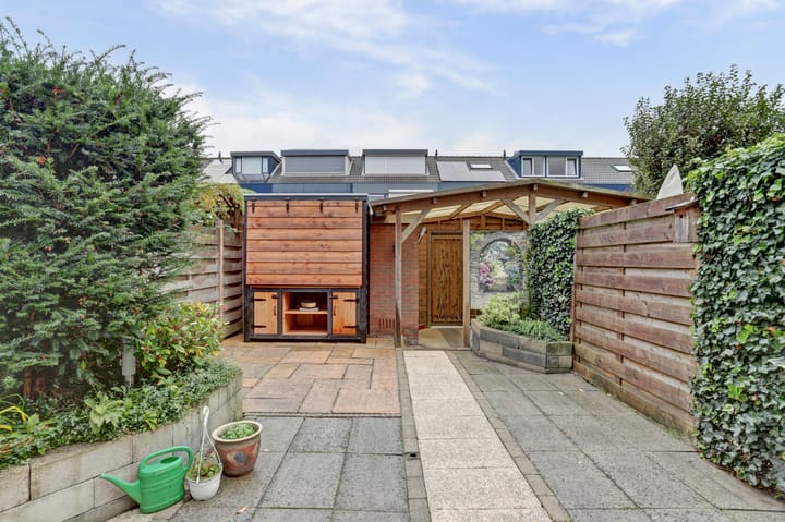 Foto 25 van Meerkoet 5